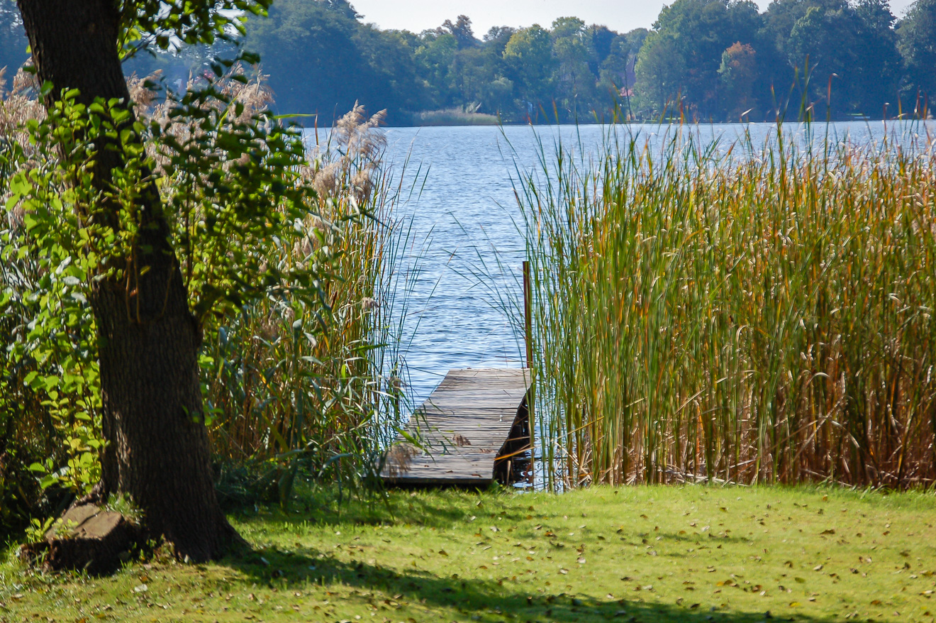 Wandlitz am Wandlitzsee Steg mit Schilf